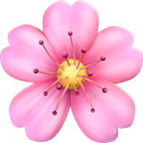 cherry-blossom