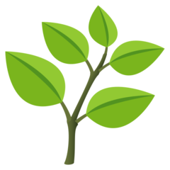 food-leaf
